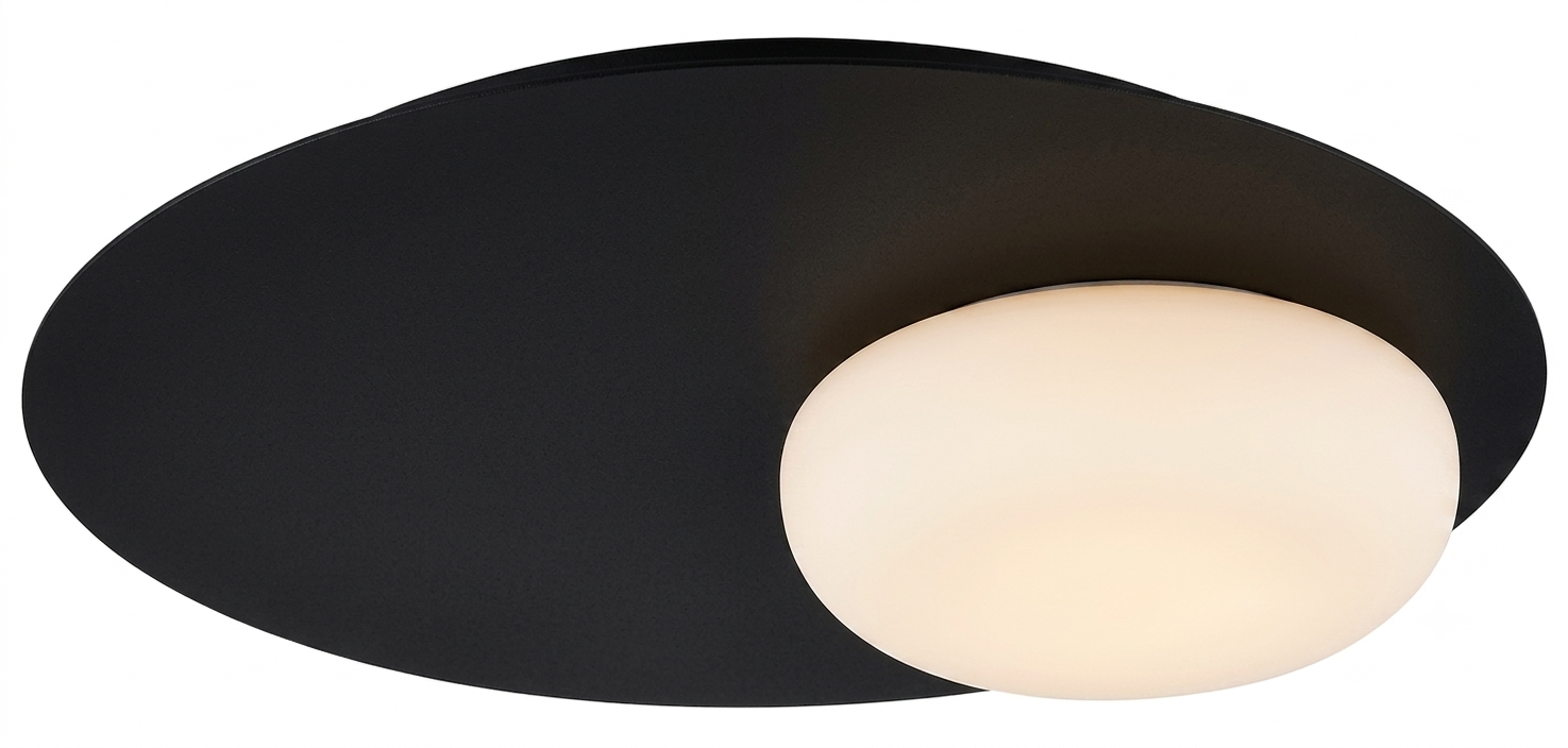 DL11383 Opal Glass LED Ceiling / Wall Light (Ø420mm)