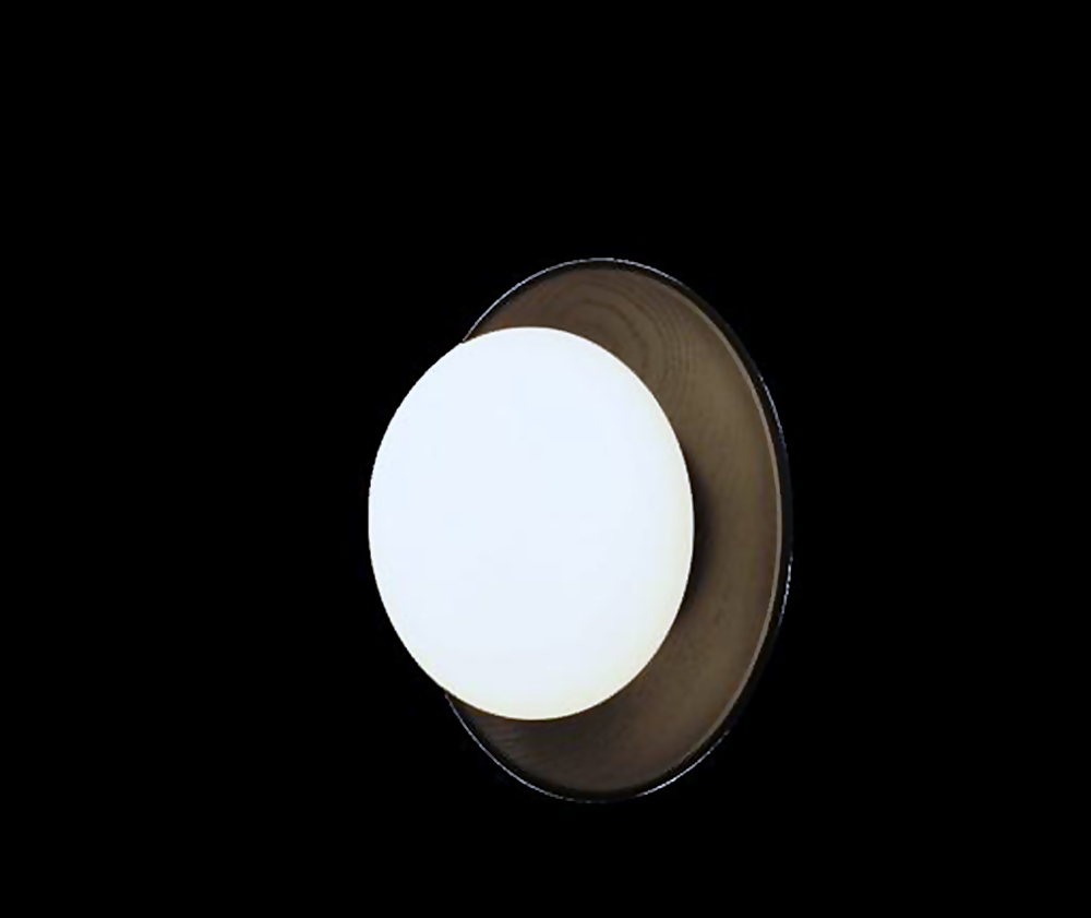 DL12782 Ash Wood Stain Black Wall Light (D200mm, G9 6W)