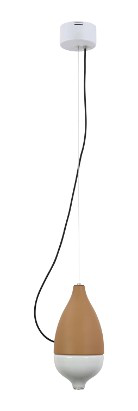 DL13198 Pendant Lamp