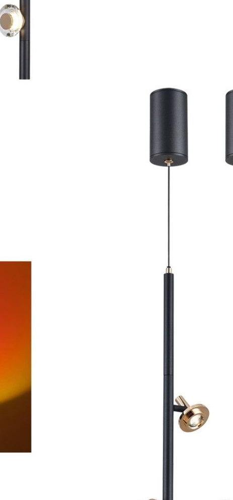 DL13956 LED Pendant Light LED/10W (D150*H550mm)
