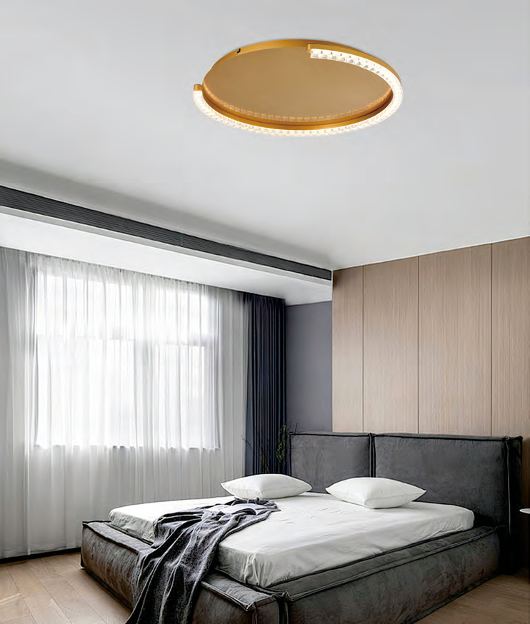 DL14094 Modern Pendant Light