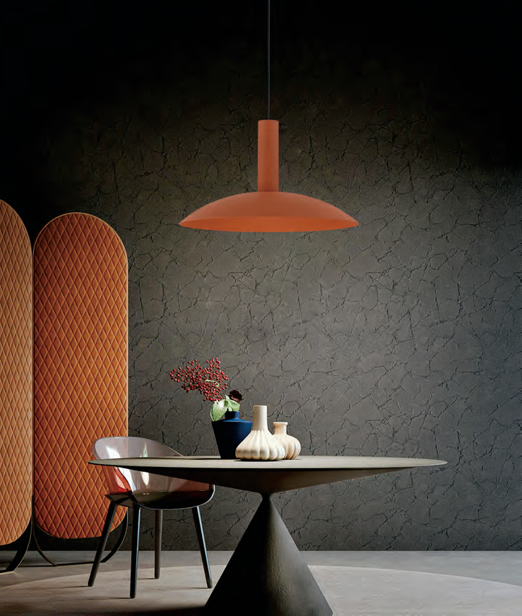 DL14262 Modern Pendant Light (Ø300×170mm)