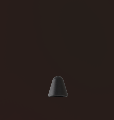 DL14876 Petal Light