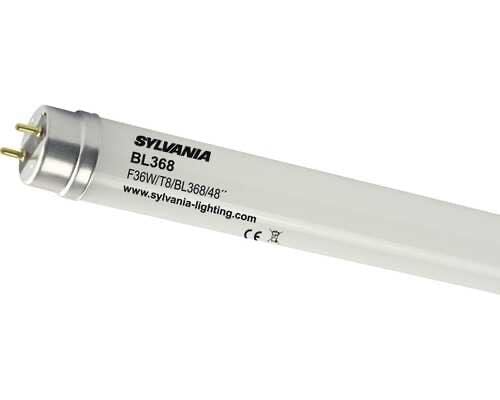 BL368 T8 36W G13 Lampholder T8 Fly Bulb DS5238