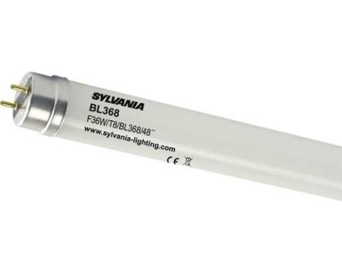 BL368 T8 36W G13 Lampholder T8 Fly Bulb DS5238