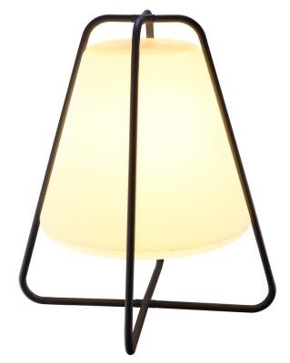Led Smart Portable Luminaire DG900