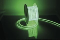 220V Outdoor Strip Led - Green DE221 Y